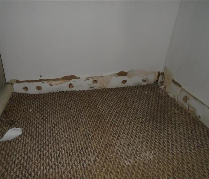 A water damaged carpet and wall, peeling off the paint.