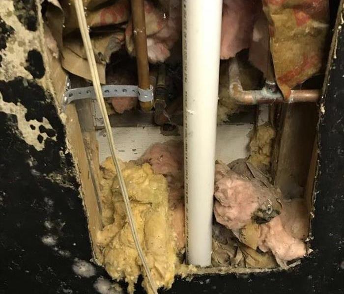 Mold growth from water damage 