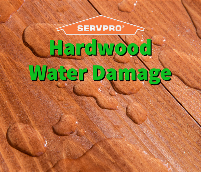 Hardwood water damage in a Dayton home.