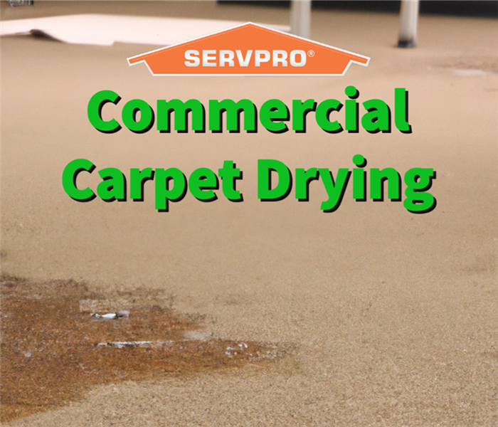 Commercial carpet with water damage in a Dayton office building.