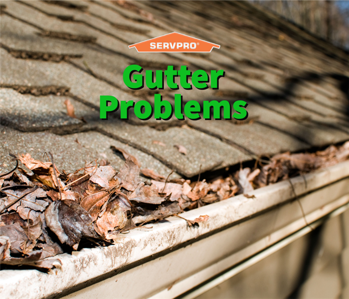 Clogged gutters causing a problem