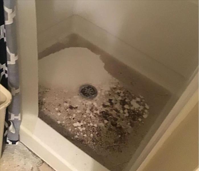 Sewer Restoration cleanup job in Dayton bathroom