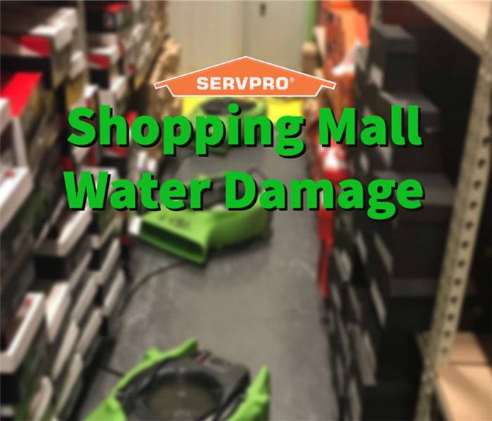 shopping mall water damage in a Dayton shopping mall shoe store